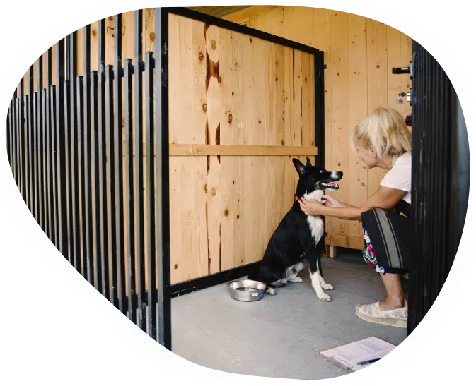 Pension-chiens–Sejours-privatifs-securises-animalice