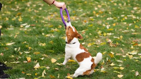 air-confortable-480×269