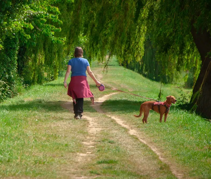 ani-malice-sortie-individuelle-belgique