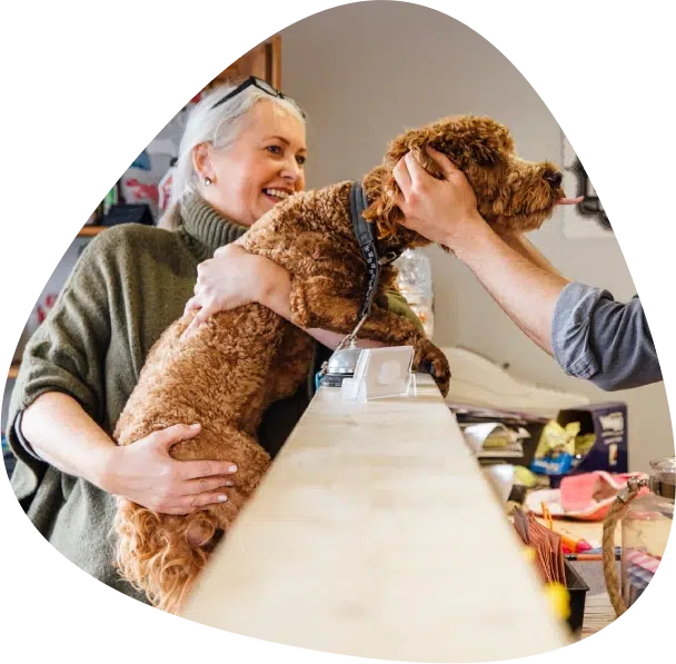 confiez-votre-compagnon-animalicebelgique