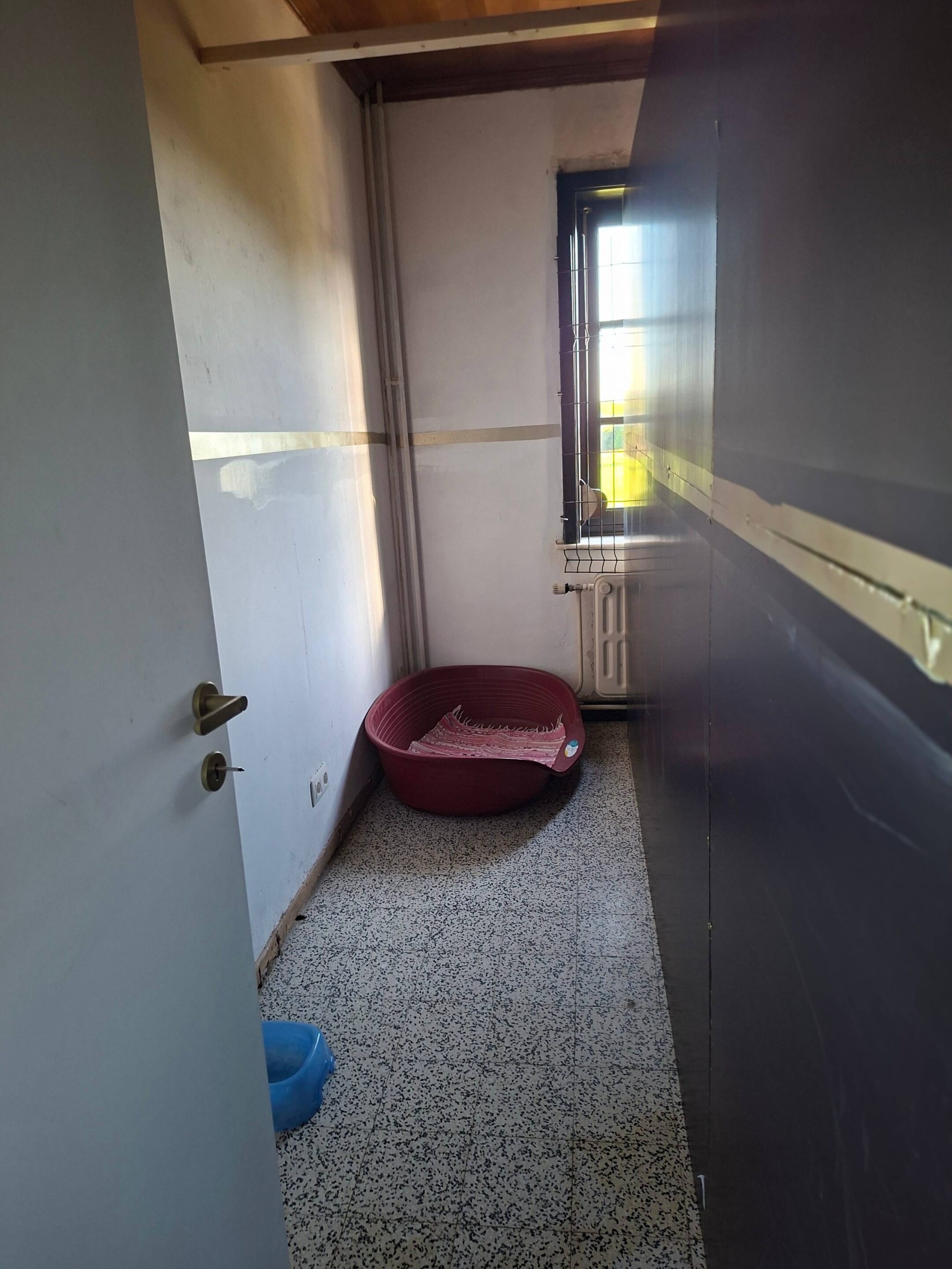 Espace Intérieur Grand Chien 2